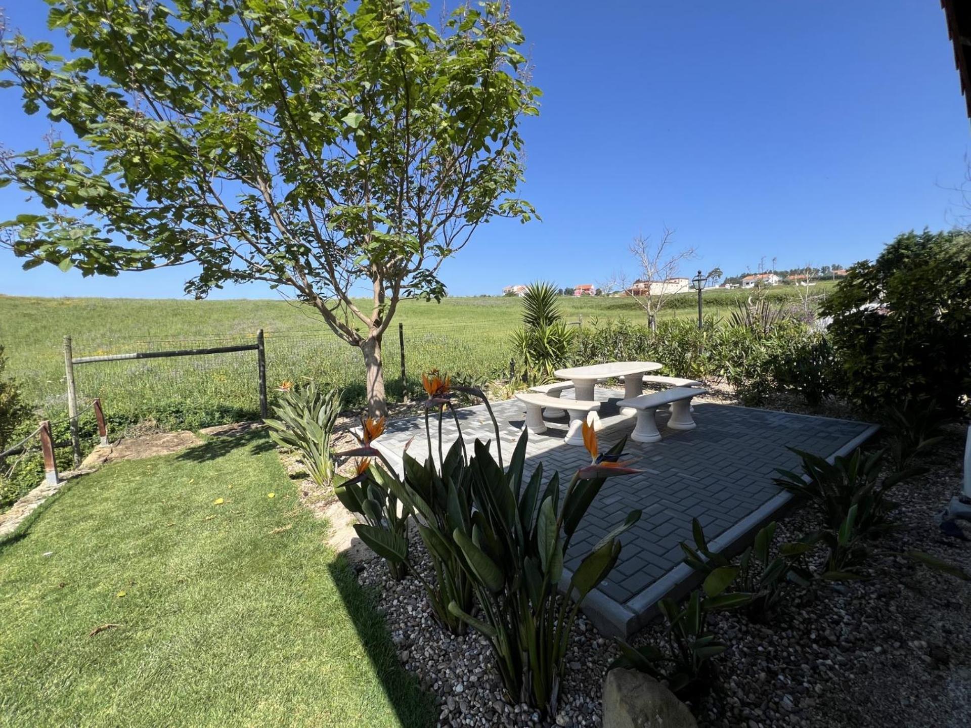Quinta Da Relva - Soulful House Bed and Breakfast Μάφρα Εξωτερικό φωτογραφία